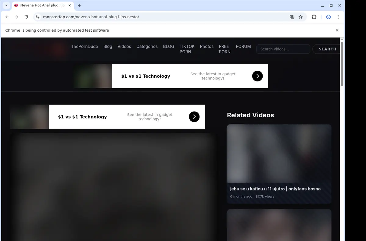 Monsterfap Video Downloader browser extension screenshot 2