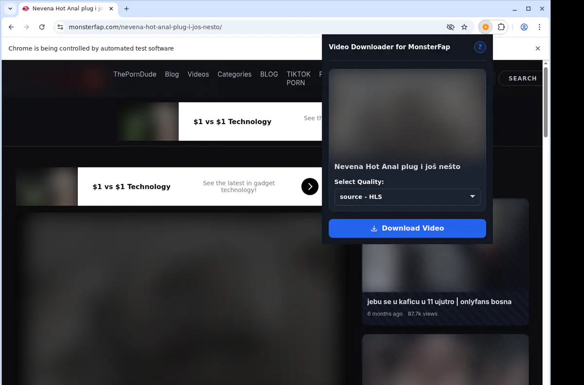 Monsterfap Video Downloader browser extension screenshot 3